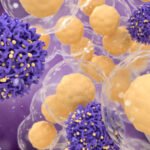 Bristol Myers Squibb - ngoportal.org
